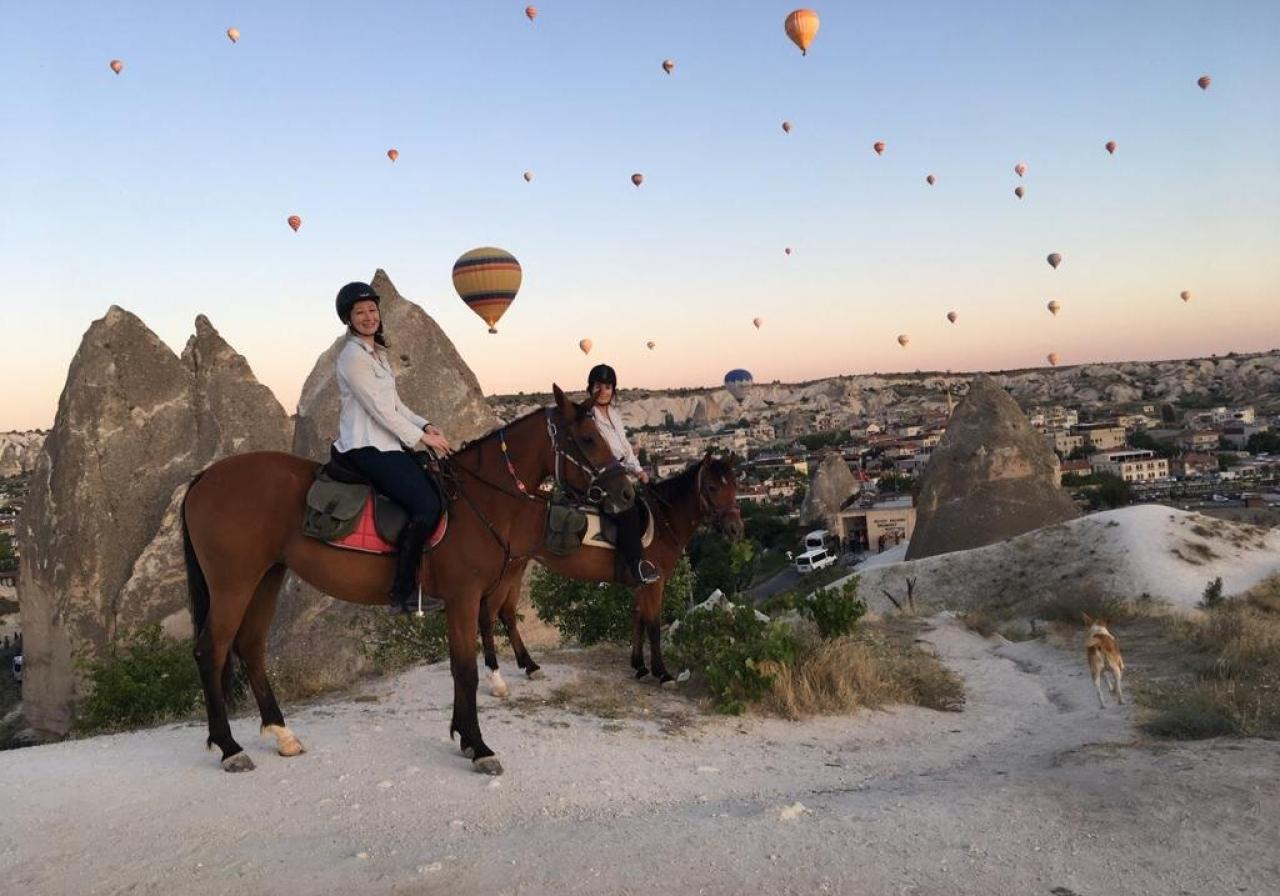 TOUR DE PASEO EN CABALLO DE 1 HORA